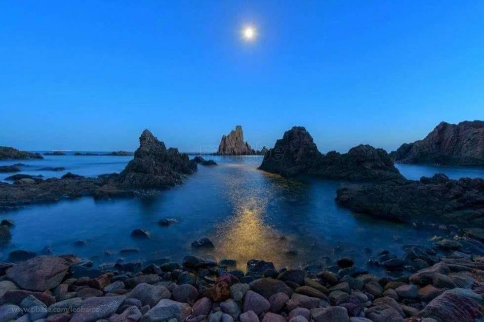 Cabo De Gata Oasis Retamar Leilighet El Toyo Eksteriør bilde